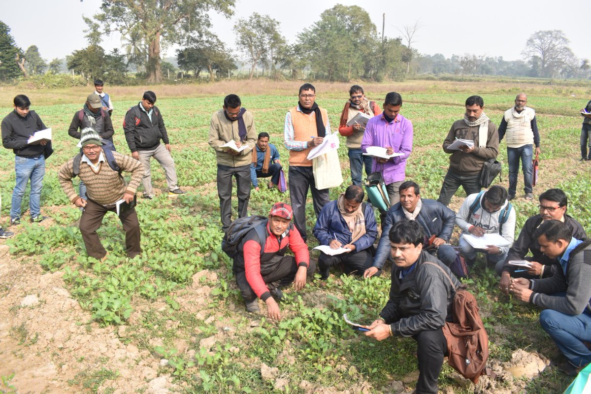 WbcadcB's tweet photo. Celebration of Kisan Diwas at KVK Bankura. 
#JaiJawanJaiKisan @WBCACKVKBankura https://t.co/apMM7TTa2m