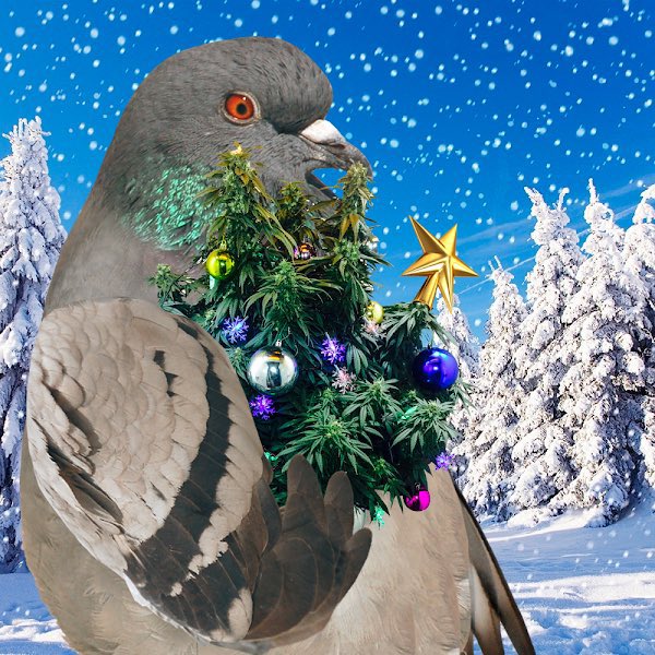 tw1r's tweet photo. @shillerqueen11 Christmas tree. https://t.co/DJjXEAqLXJ https://t.co/wg0qqWVXWh