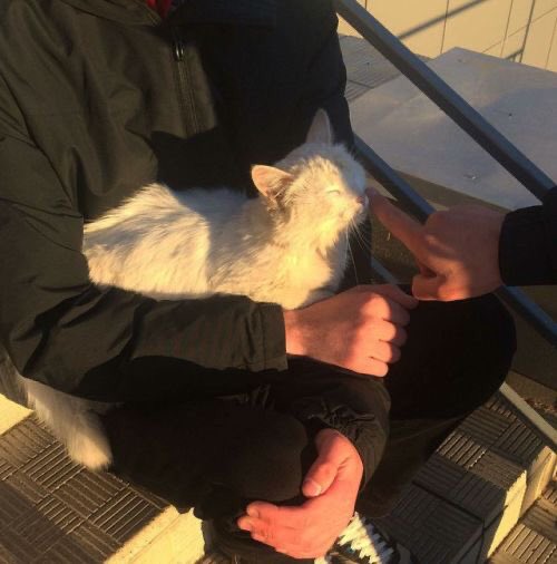 hourly hands 🐼 (@hourlyhands) on Twitter photo 