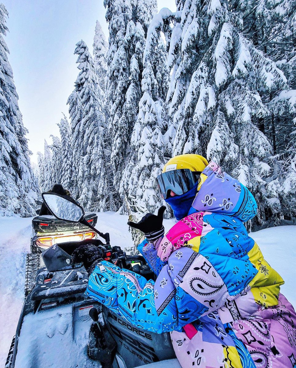 Nina Stojanovic tweet media