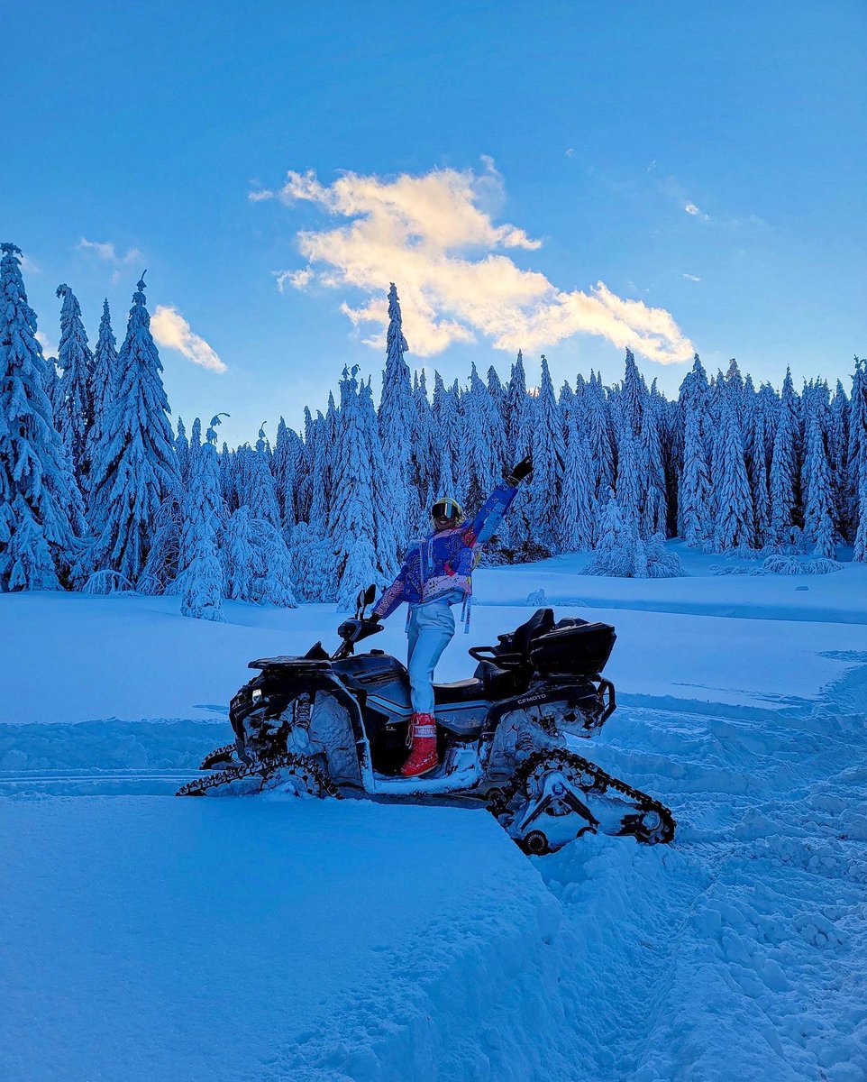 Nina Stojanovic tweet media