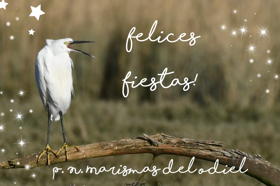 Desde C. V. Anastasio Senra, os deseamos #FelicesFiestas2021 <a href="/VentanaVAND/">Ventana Visitante</a>