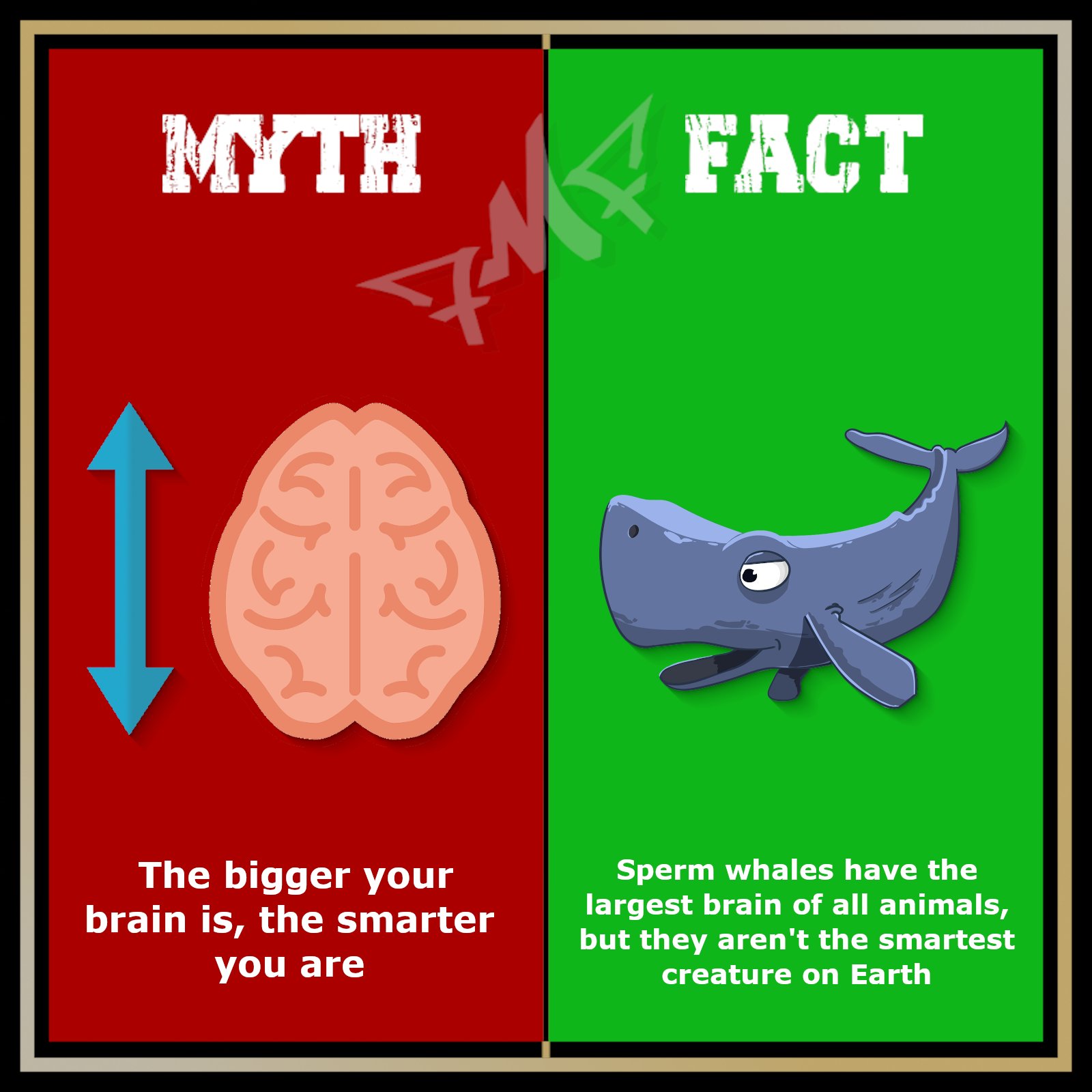 Myth Vs. Truth on Twitter: 