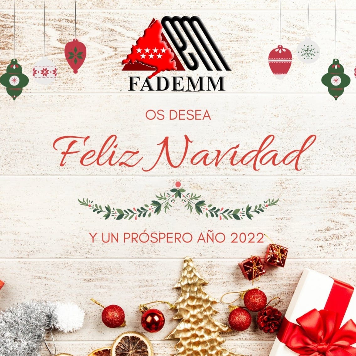 FADEMMadrid's tweet photo. La Federación de Asociaciones de Esclerosis Múltiple de Madrid - FADEMM os desea Feliz Navidad y Próspero Año 2022 🌟 Nos vemos de nuevo a partir del 3 de enero 🎊
#EsclerosisMúltiple #EM #EMwarrior https://t.co/VE9V79txdP