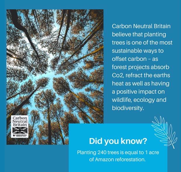 CompleteWSUK's tweet photo. We have partnered with Carbon Neutral Britain to plant a🌳for every new contract award. Each 🌳 planted by Carbon Neutral Britain absorbs carbon dioxide from the atmosphere, helping offset your carbon footprint. Get in touch to support us! #ClimateCrisis #carbonfootprint #climate https://t.co/ofOB39BLKV