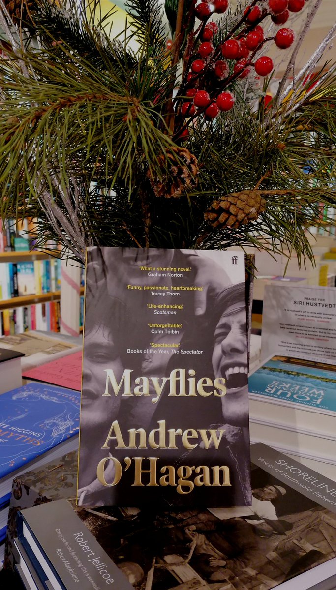 SouthwoldBooks's tweet photo. The 23rd day of Advent brings gold #Mayflies @FaberBooks #LiteraryAdventCalendar #AllIWantForChristmas #ToFriendship #Southwold https://t.co/Bacg3nkukf