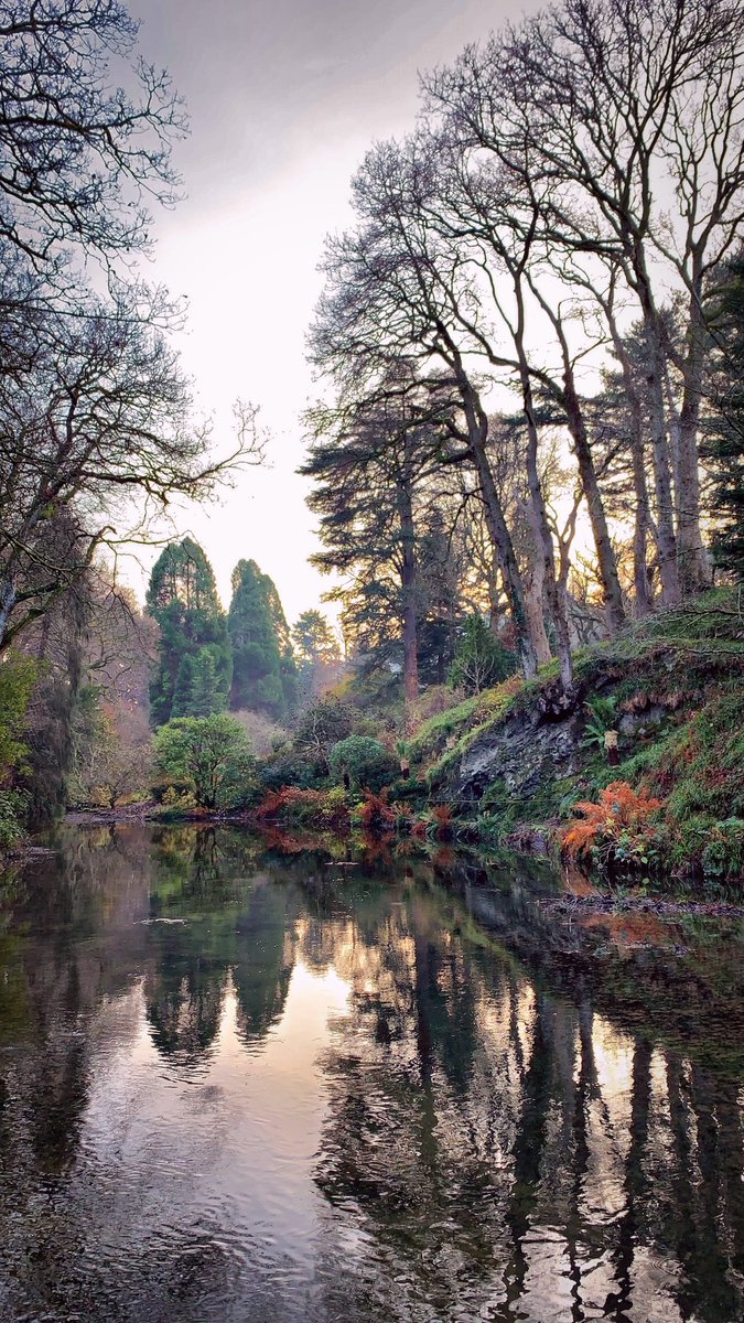 Mish_78's tweet photo. Beautiful @BodnantGardenNT in the Winter https://t.co/O1f9mTbLbt