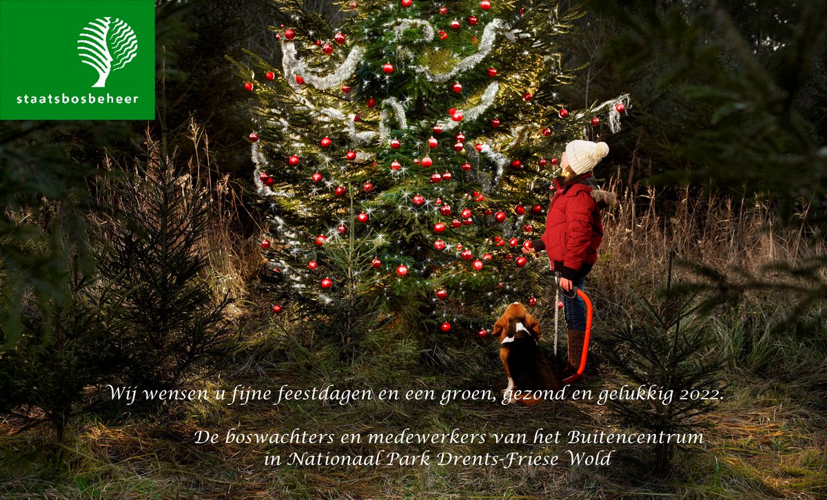 Joke van der Lei (@reservebosw8er) on Twitter photo 