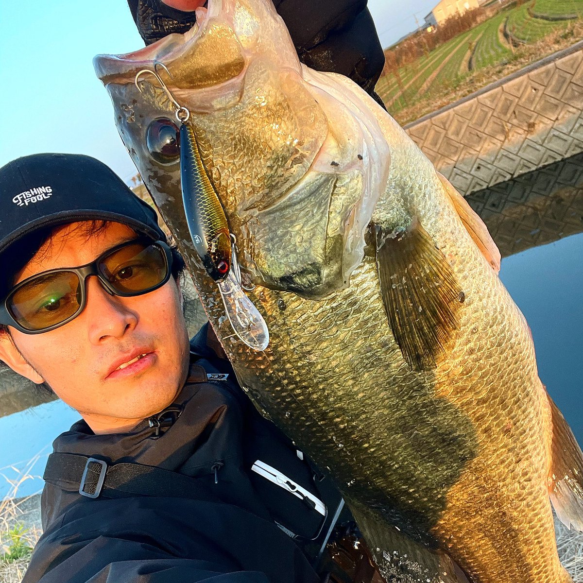 v2yfo's tweet photo. 遠賀川水系のブラックバスはプリプリです https://t.co/1DWdaw0Woz