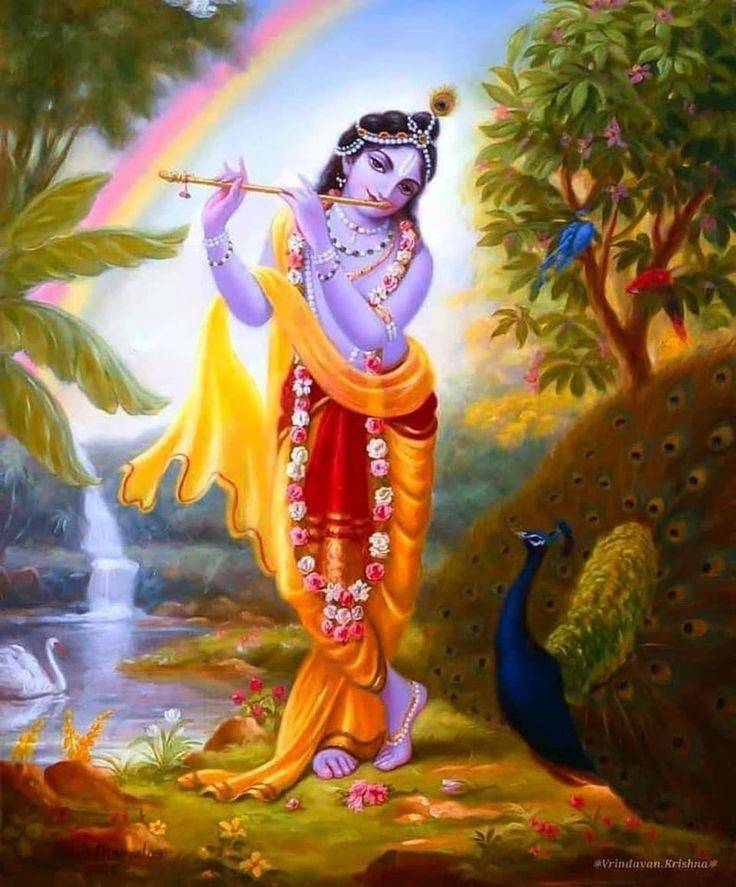 From long ago,  we are lovers 🕊🕊🤍🤍
Hare Krishna 🙏