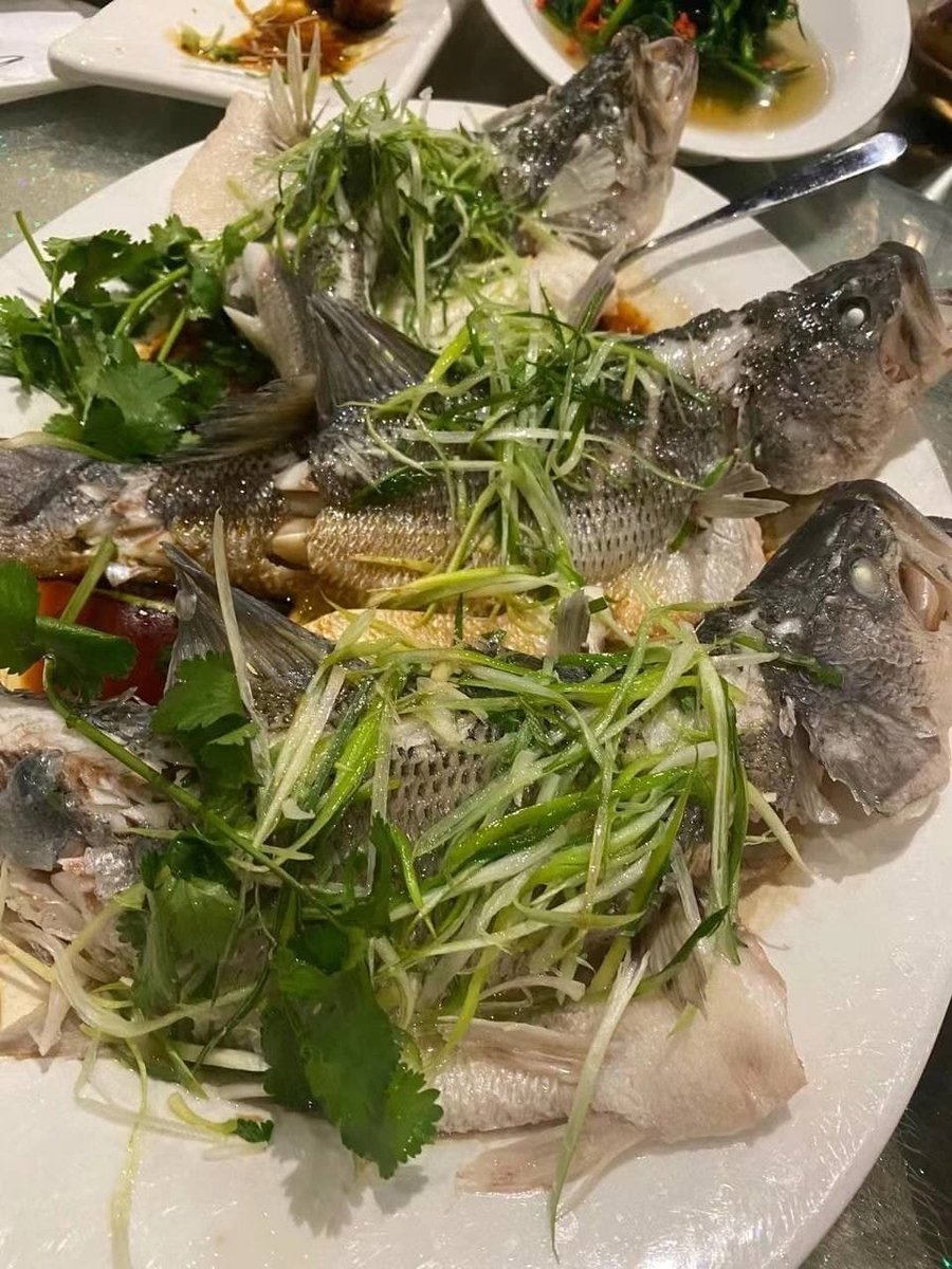 ycw1114's tweet photo. My favorite seafood meal https://t.co/H8h0zes3sK