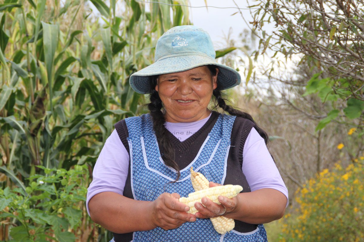 WaSa_Hub's tweet photo. Through the #PROCUENCA project in #Bolivia, @giz_gmbh ensures the sustainable management of #water resources in selected river basins.  
Impacts:
👥390.000 beneficiaries
🌲5 reforestation projects
🌎Climate change awareness among 4.500 students

More ℹ️ https://t.co/6nqPTi5hIC https://t.co/9C4bY5oFSM