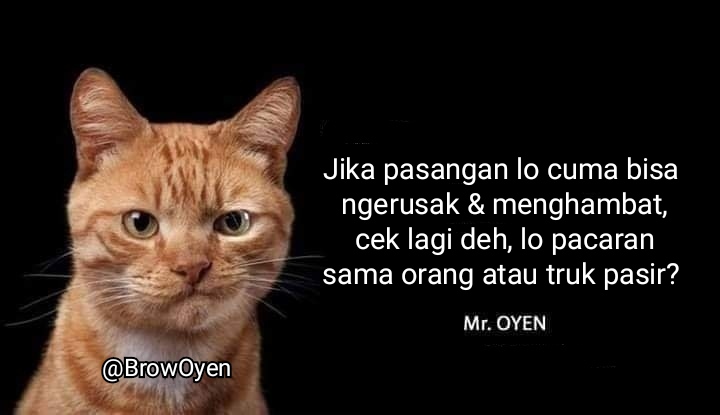 Karena kamu bukan lonte