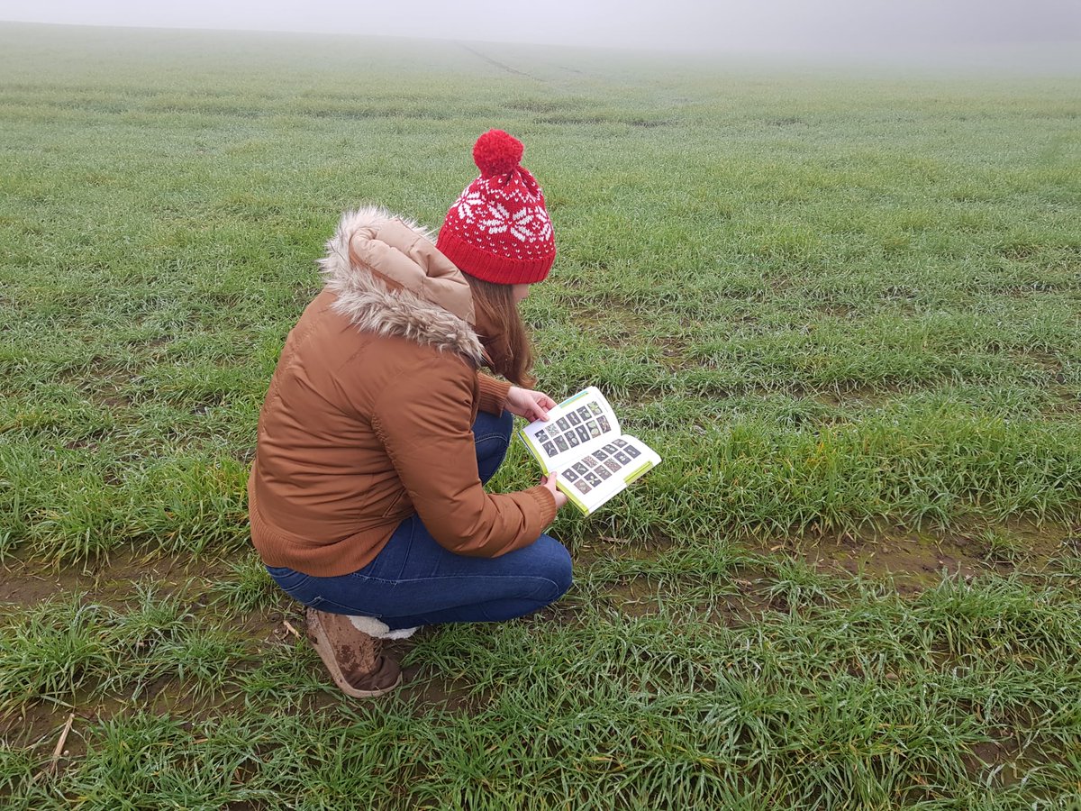 BASISRegLtd's tweet photo. ๐ Jade's BASIS Blog entry
In this part of @JadePrinceAg Blog she tells us about what she does between training bocks and shares some of the things she does to keep newfound knowledge fresh.
https://t.co/eyE7dMo8F0
#JadesBASISBlog #TopTips https://t.co/AH0CjlC0Cp