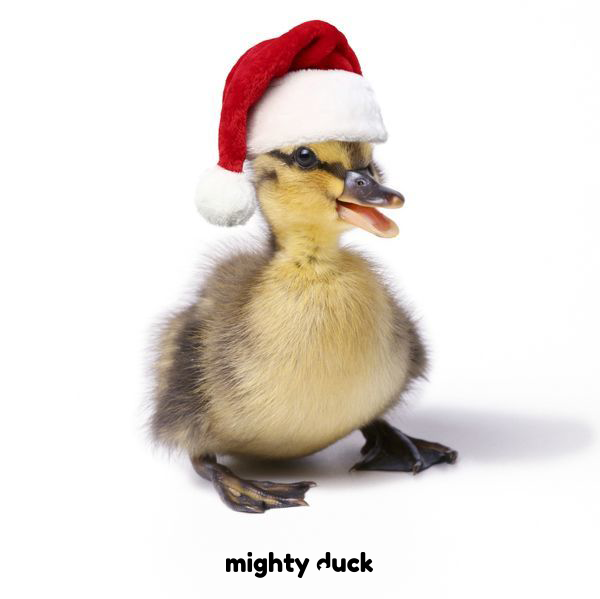 mightyduckuk's tweet photo. Merry Christmas everyone! 🎄🎅

Hope you all have a great day filled with fun and festivities. 🎁

#ChristmasDay #MerryChristmas #Christmas2021 https://t.co/MrL2M3V1VL