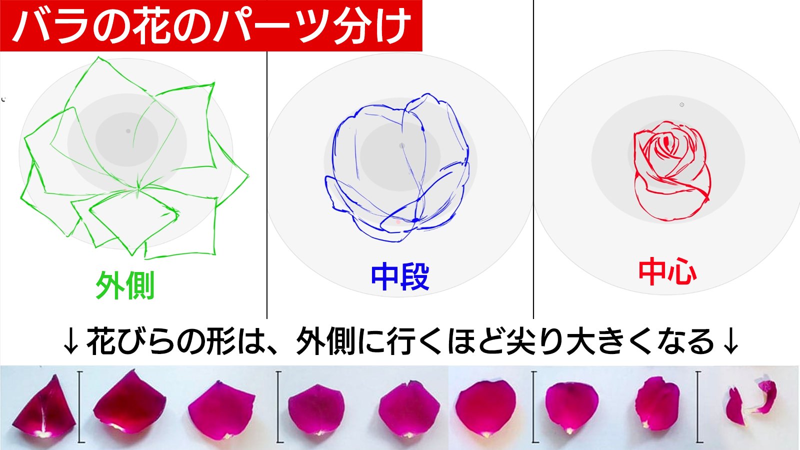 お絵かき講座パルミー Bookliveポイントプレゼントキャンペーン実施中 Twitter પર 新講座のお知らせ 推しにバラの花を持たせた絵を描きたい でも 何だか難しいのでなんとな くクシャクシャっと描いている そんな方へおすすめ 花の構造や花びらの形の お絵かき講座パルミー Bookliveポイントプレゼントキャンペーン実施中 Twitter પર 新講座のお知らせ 推しにバラの花を持たせた絵を描きたい でも 何だか難しいのでなんとな くクシャクシャっと描いている そんな方へおすすめ 花の構造や花びらの形の