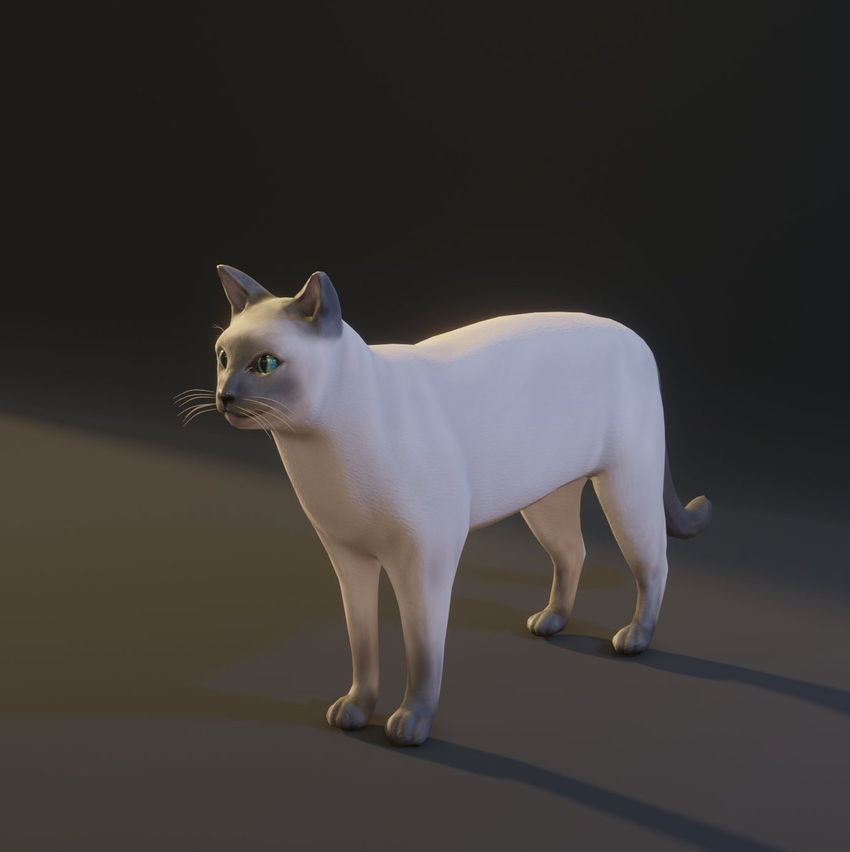 Sheltered 2 tweet media