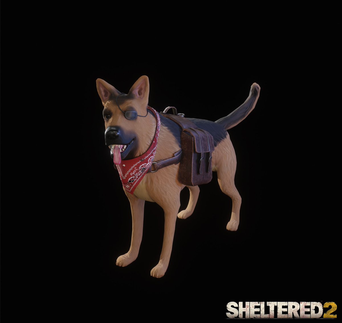 Sheltered 2 tweet media