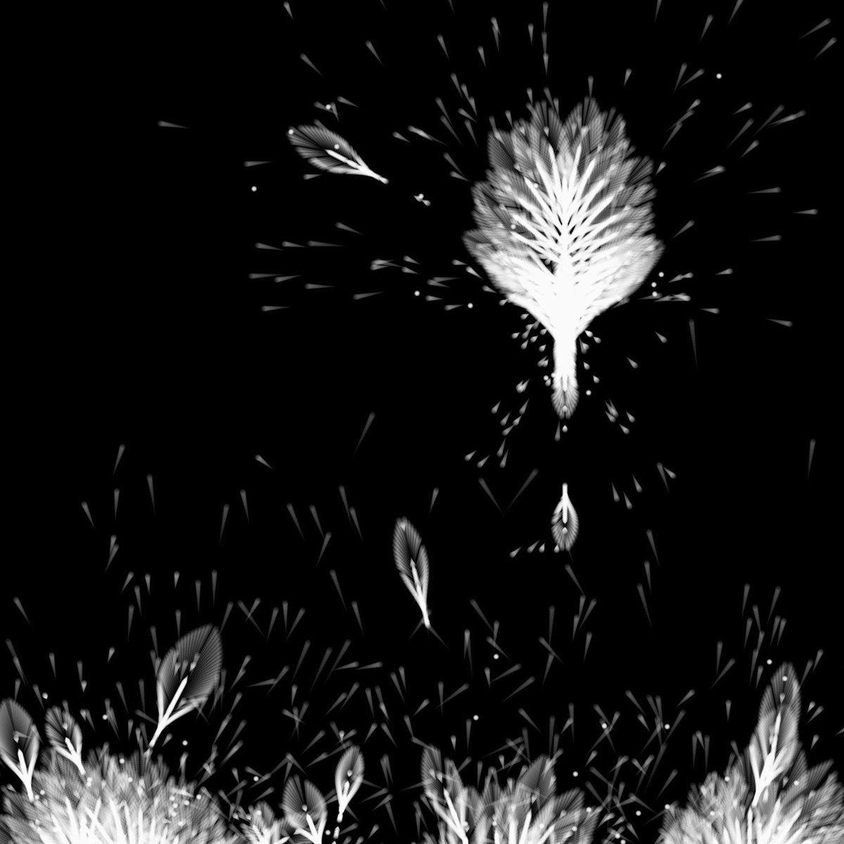 canvas_51's tweet photo. fly 2

#generativeart #creativecoding #math #monochrome https://t.co/dn4gwlSp0W