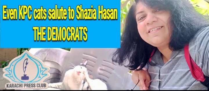 HasanShazia's tweet photo. Running again. Wish me luck! 🍀#kpcelections2022 https://t.co/SA4ImTeE5P