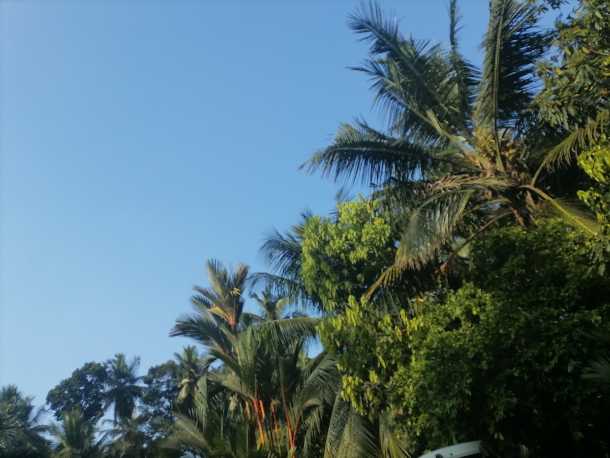 RBK Blog tweet media