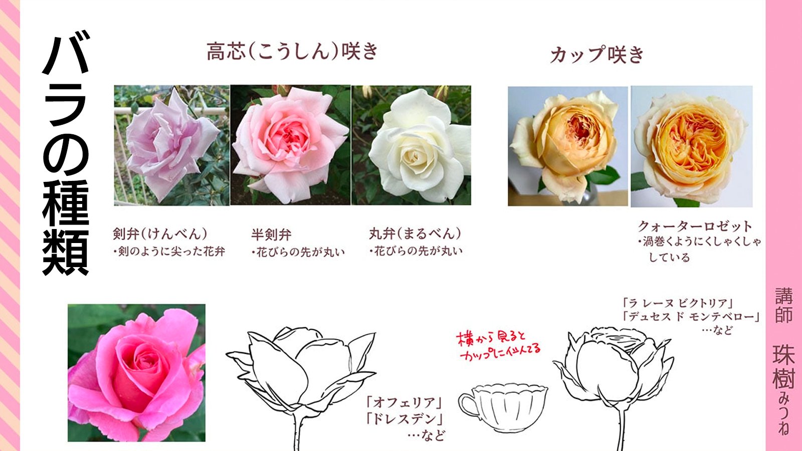 Twitter 上的 お絵かき講座パルミー 液晶ペンタブが当たるキャンペーン開催中 新講座のお知らせ 推しにバラの花を持たせた絵を描きたい でも 何だか難しいのでなんとな くクシャクシャっと描いている そんな方へおすすめ 花の構造や花びらの形の変化を