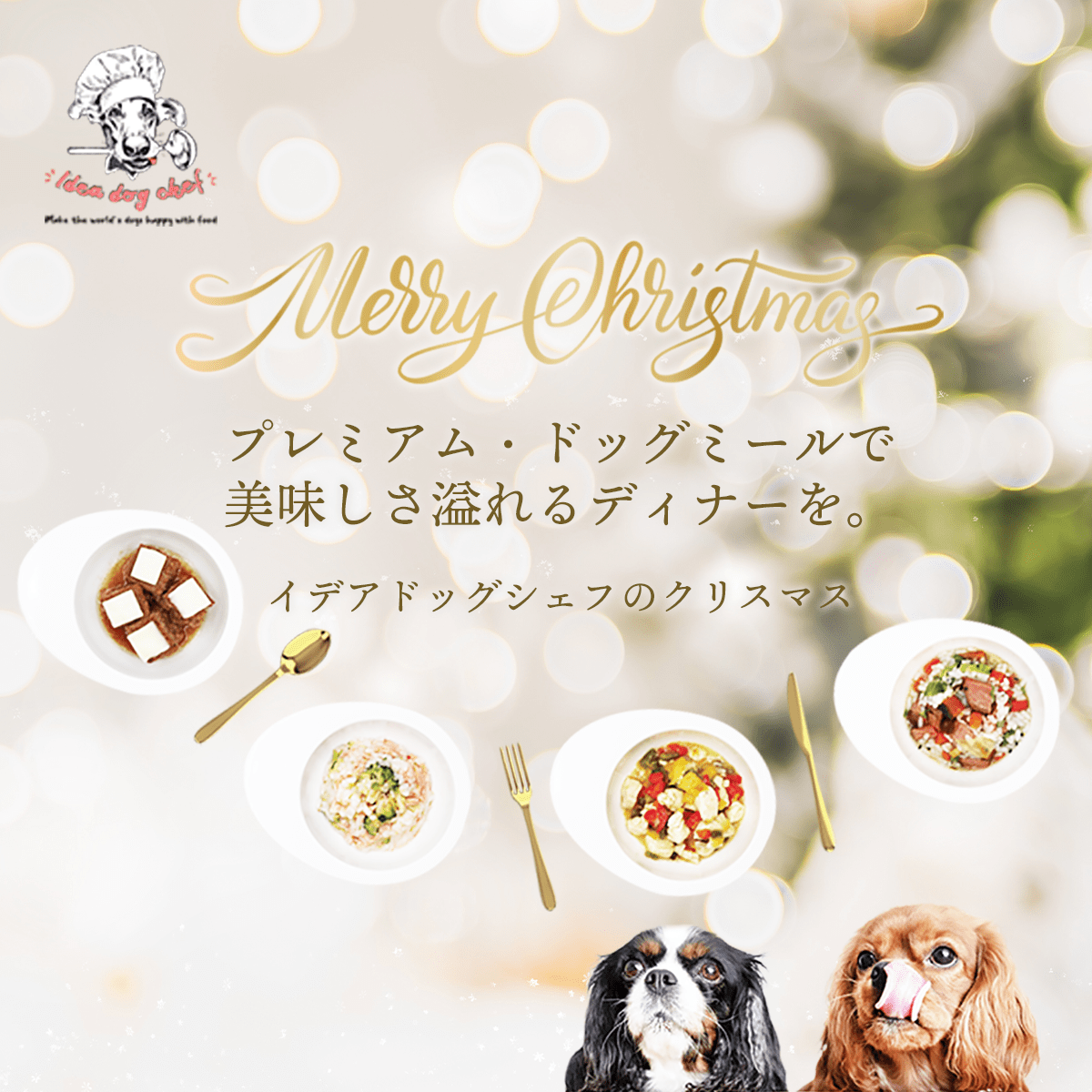 idea_dog_chef's tweet photo. 『Idea dog chefのクリスマス』キャンペーン開催🎅🎁3名様にお好きなふりかけ商品をプレゼント✨
【応募方法】
①SNSでイデアドッグシェフのアカウントをフォロー
②クリスマスにイデアドッグシェフをご利用いただいた写真や動画を、#ideadogchef #ideadogchefのクリスマス を付けて投稿 https://t.co/Or4noorWd2