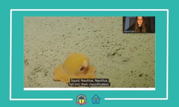 Herkese merhaba SLP ailesi,🥳
bu hafta çocuklarımız ile beraber Sularımızın önemini, derin denizlerde neler yaşandığını, denizlerin gizemini ve yeni keşfedilmiş deniz canlılarını öğrendik.  Katılan herkese teşekkür ediyoruzz. 🦀

#iyikiTDP #SLP #TDP #bilkentuniversity