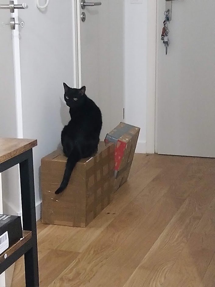 ElDragounyou's tweet photo. @tavujesus Joyeux #Chalendrier !
Ah les calins, le bonheur! 
J'ai beaucoup hésiter sur la photo du jour, mais les deux garçons qui sont pressé d'avoir leurs cadeaux, c'est parfait! Mais je rajoute quand même le calin de la Reine-Mère, parce qu'on est le 23 et que c'est l'annif de mon frère! https://t.co/g4Isb3yaG8
