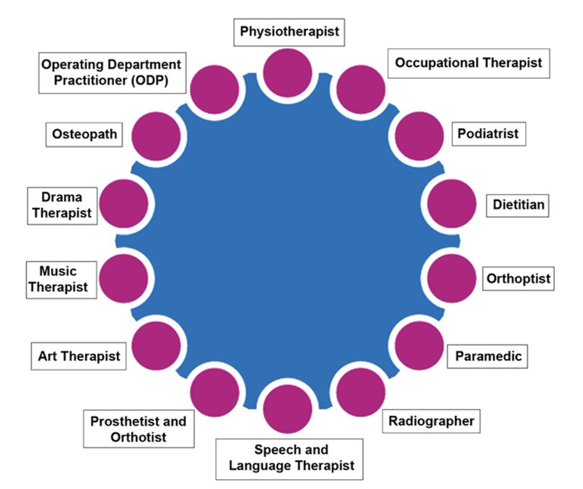 Most people think of patient facing roles being only Doctors and Nurses.  

However, there’s a whole other group called Allied Health Professionals (AHPs).  

There’s 14 groups that work side by side with us to provide the best care for patients.