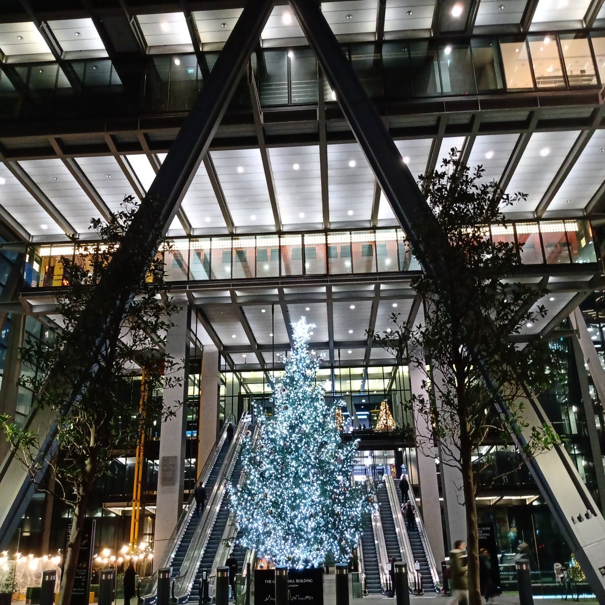 ZoeTheGuide tweet picture