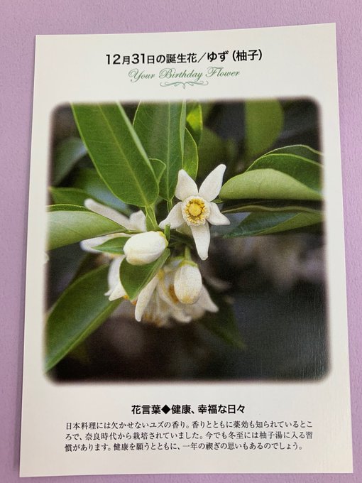 紀伊國屋書店 梅田本店 Kinoumeda 21年12月 Twilog