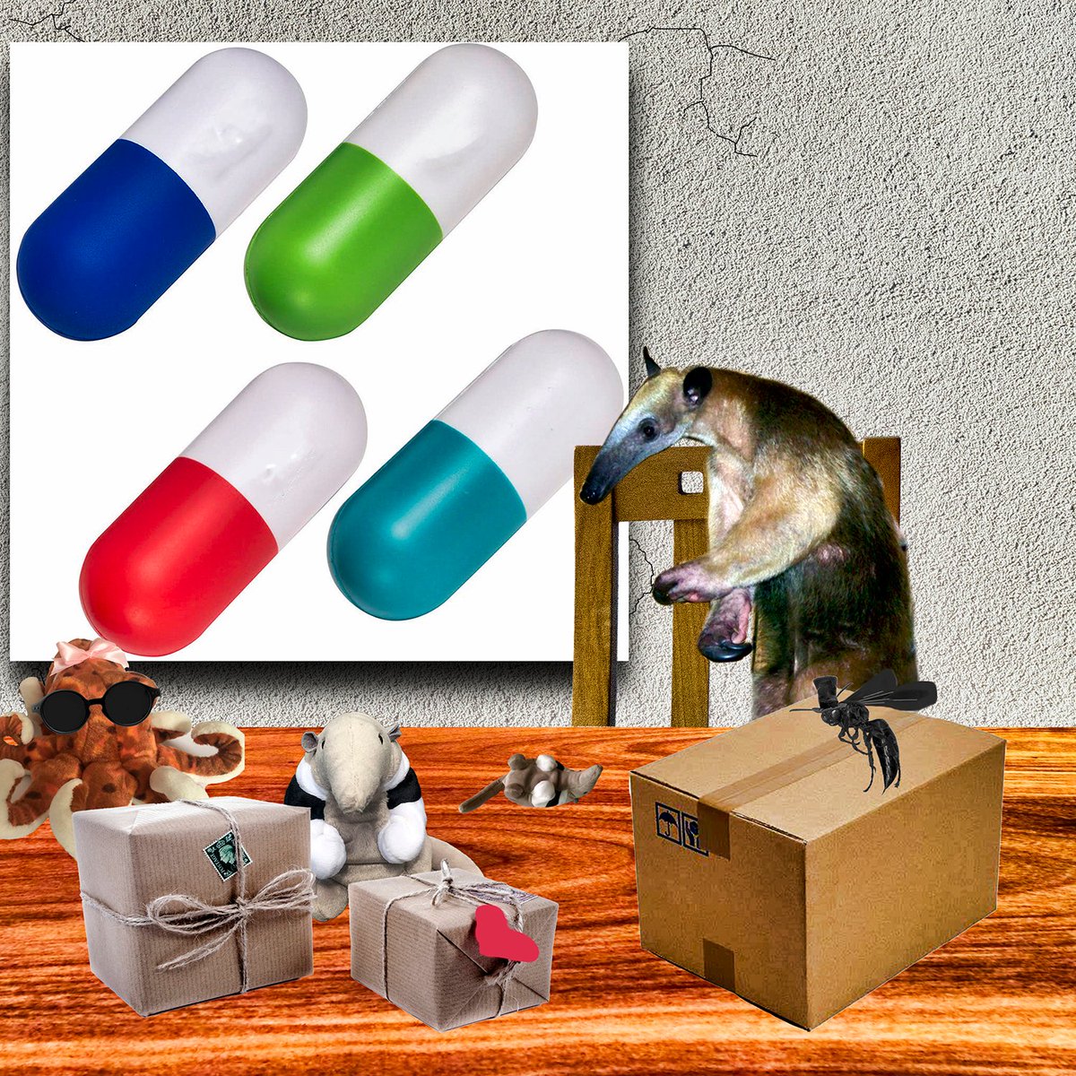 GraemeDawes's tweet photo. The postman's just delivered some more Xmas parcels! 
https://t.co/WZm2gZbj0q 

#animalsoffacebook #anteatersofinstagram #internetanimals #cuteanimals #onlineanteaters #anteater #animalsofinstagram #IGanimals  #gifts  #presents  #curious #delivery #postman #mailman https://t.co/VD6vxcGnNb