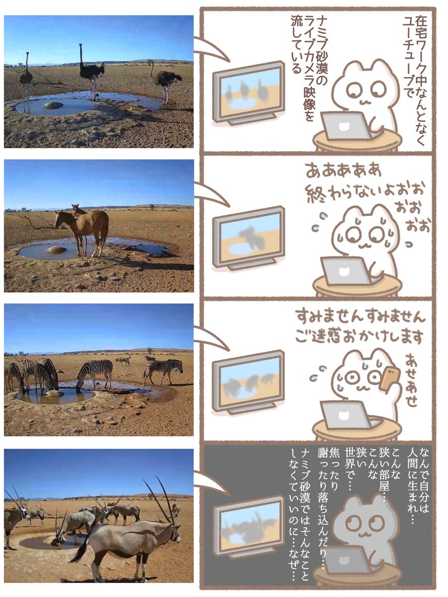 ナミブ砂漠 のイラスト マンガ コスプレ モデル作品 19 件 Twoucan ナミブ砂漠 のイラスト マンガ コスプレ モデル作品 19 件 Twoucan