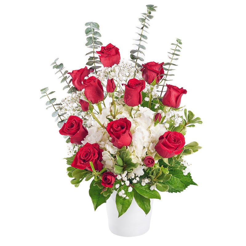 new_york_blooms's tweet photo. The Rose and Hydrangea Arrangement from New York Blooms is a beautiful way to show someone special to you how you feel.
___________________

Offering same-day delivery
___________________

#newyorkblooms #roses #whitehydrangeas #redroses #newyorkflowers #newyork #USA #nyc https://t.co/l6AoTybjuf