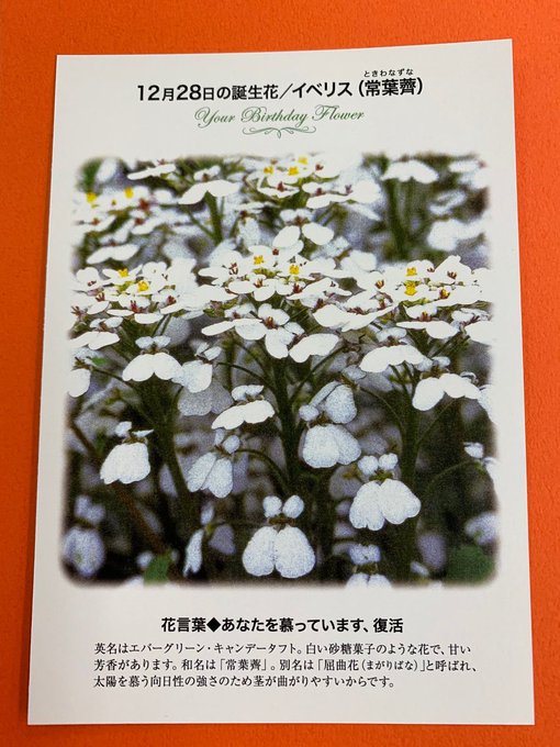 紀伊國屋書店 梅田本店 Kinoumeda 21年12月 Twilog