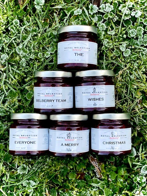 We  would like to thank all Belberry Clients for your confidence in Belberry over the past year, which has been a special one. 
Warmest thoughts and Best Wishes for a wonderful Holiday Season and a BERRY sweet New Year!

#belberry #merrychristmas #happynewyear #holidayseason