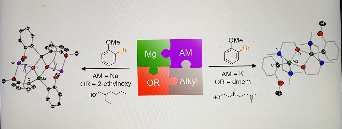 Prof Hevia 🇺🇦 (@evaheviagroup) on Twitter photo Many congratulations to <a href="/NeilJudge1/">Neil Judge 🏴🇨🇭</a> and @Leonie_Bole on their latest instalment assessing #AlkaliMetal Effects on #alkoxide mediated #magnesium halogen exchange reactions now published <a href="/ChemEurJ/">ChemEurJ: Chemistry - A European Journal</a> <a href="/DCBPunibern/">DCBPunibern</a>
…mistry-europe.onlinelibrary.wiley.com/doi/10.1002/ch… Many congratulations to <a href="/NeilJudge1/">Neil Judge 🏴🇨🇭</a> and @Leonie_Bole on their latest instalment assessing #AlkaliMetal Effects on #alkoxide mediated #magnesium halogen exchange reactions now published <a href="/ChemEurJ/">ChemEurJ: Chemistry - A European Journal</a> <a href="/DCBPunibern/">DCBPunibern</a>
…mistry-europe.onlinelibrary.wiley.com/doi/10.1002/ch…