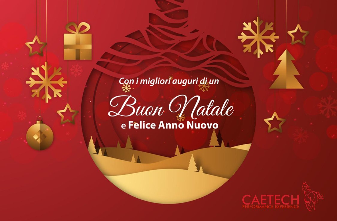 Buone Feste da CAETECH!