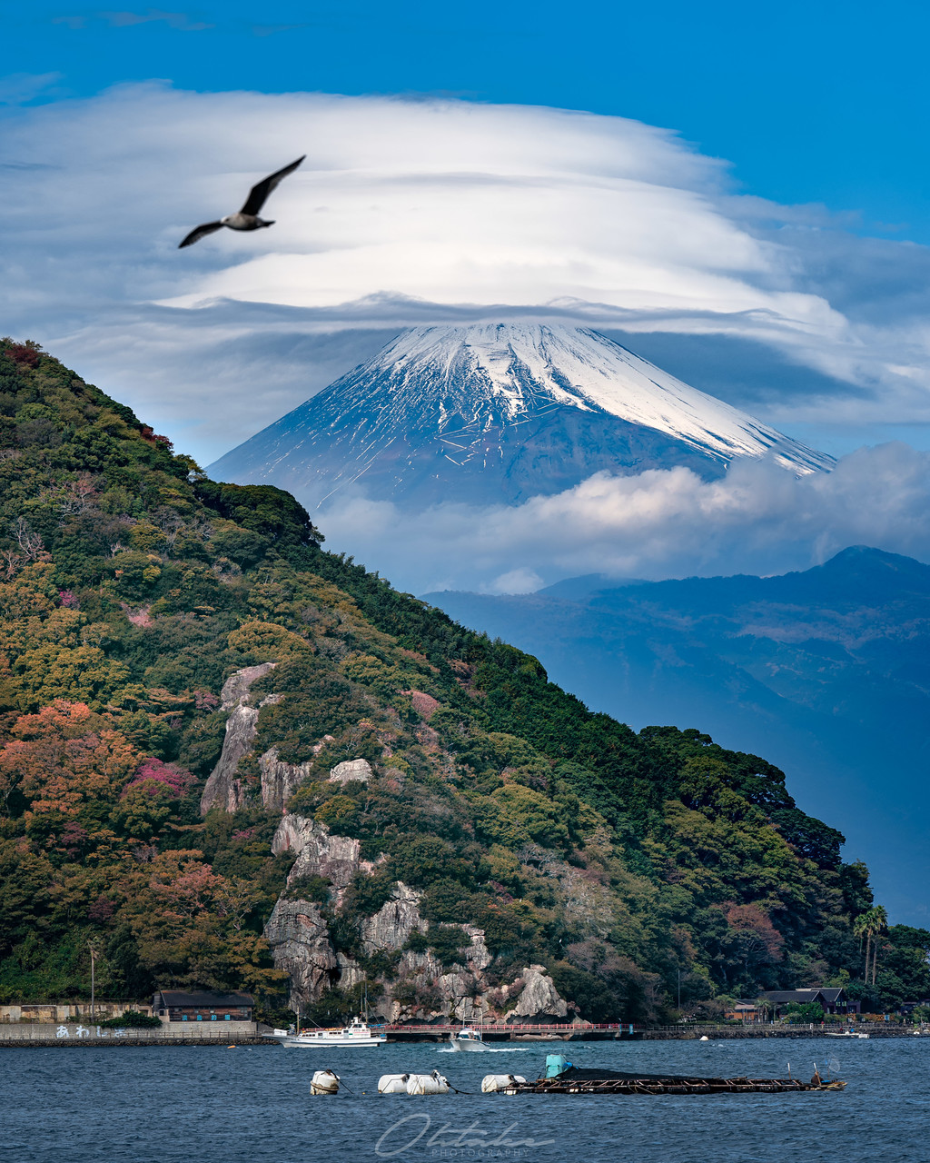 Ohtake 東京カメラ部10選21 この度 東京カメラ部10選21に選出していただきました 身の引き締まる思いではありますが これからも心躍る瞬間を大切にしてシャッターを切り続けたいと思います Twitter