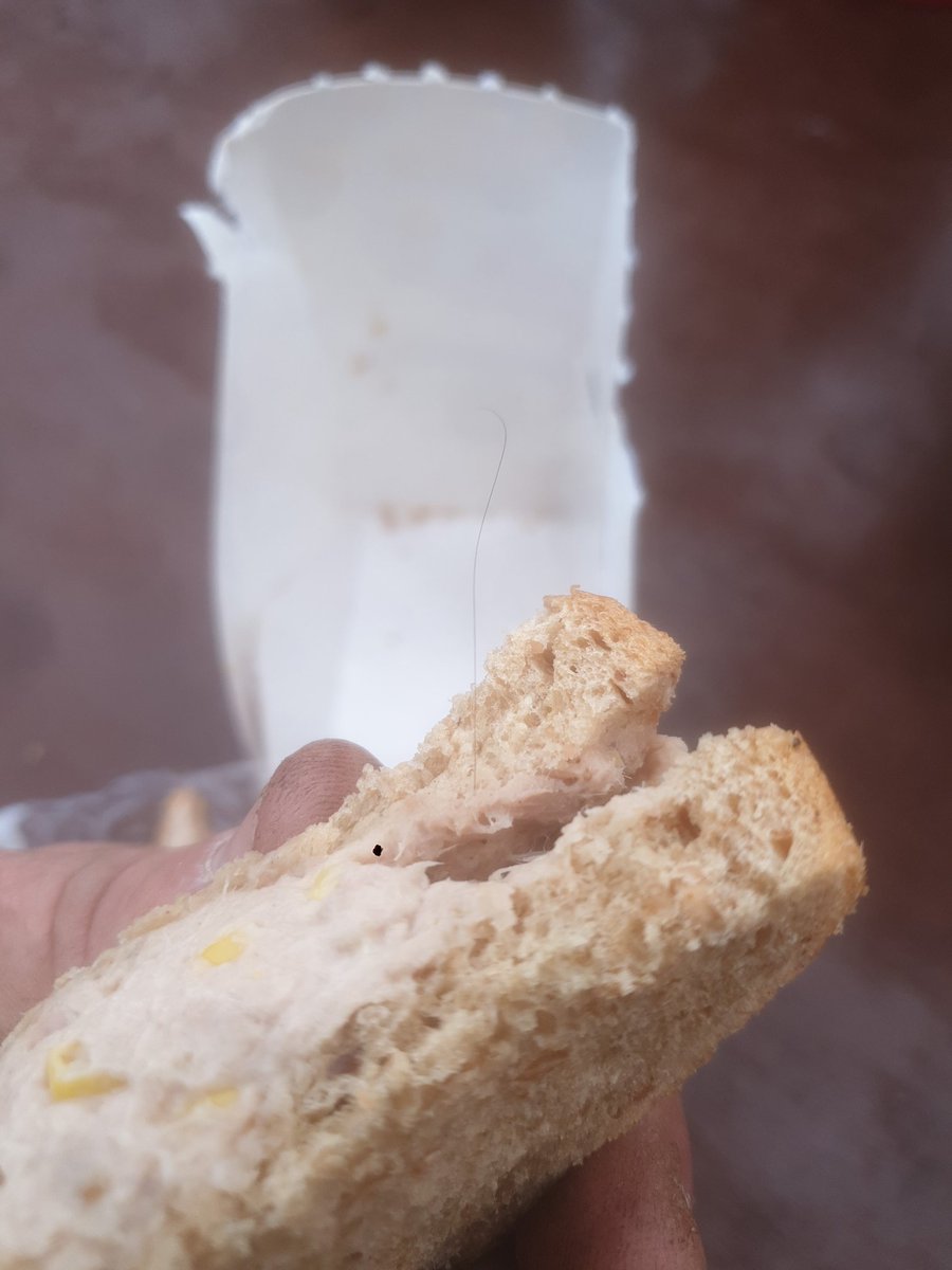 Thought I could at least eat the other one.... nope. <a href="/Tesco/">Tesco</a> 
Any reason why your tuna mayo is full of hair?