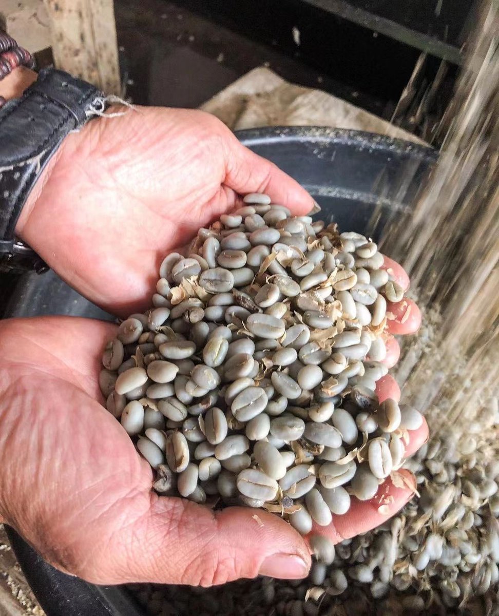 shen_shiwei's tweet photo. It’s the Ethiopian coffee season now.
🇪🇹☕️ Coffee Origin https://t.co/gsy83FoEUQ