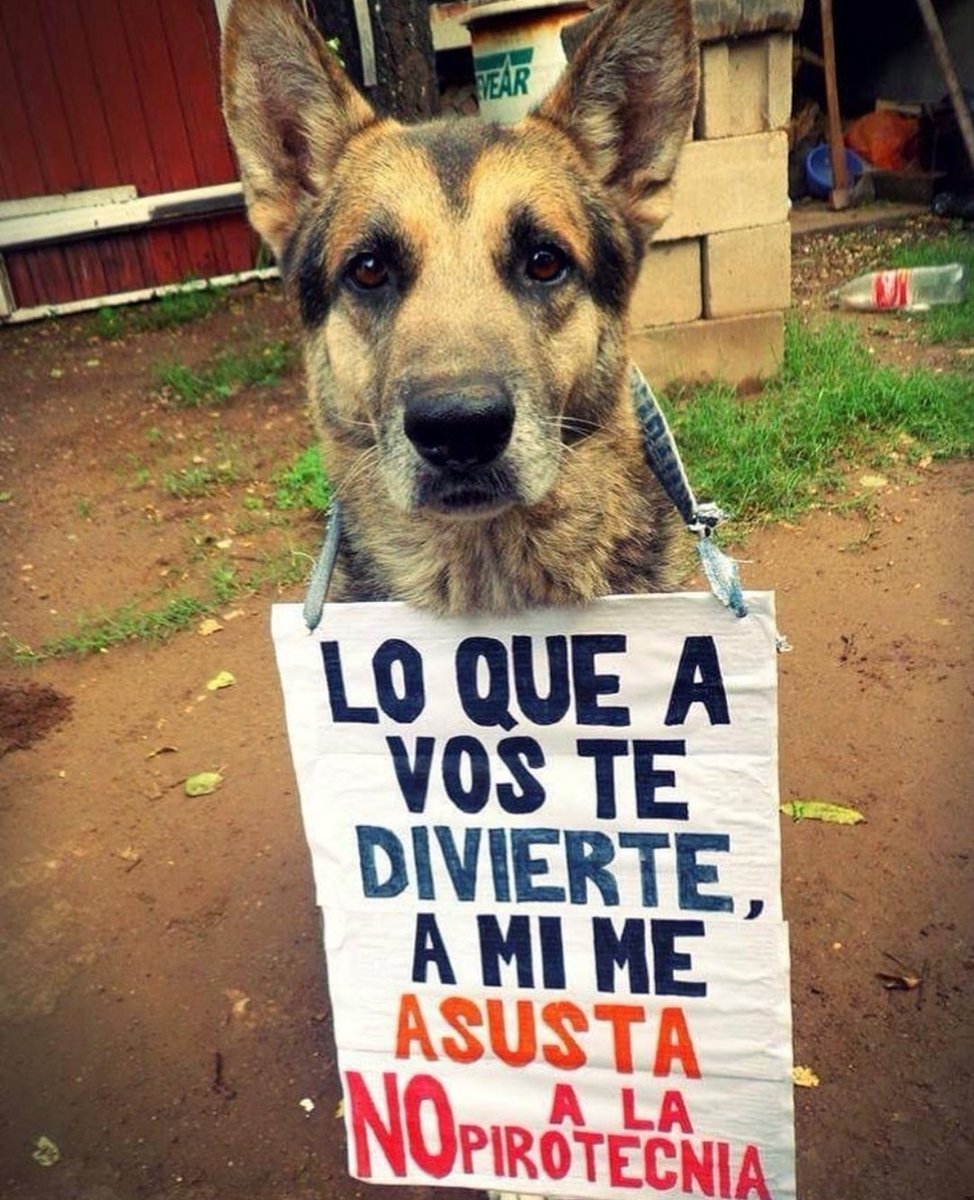 #noalapirotecnia