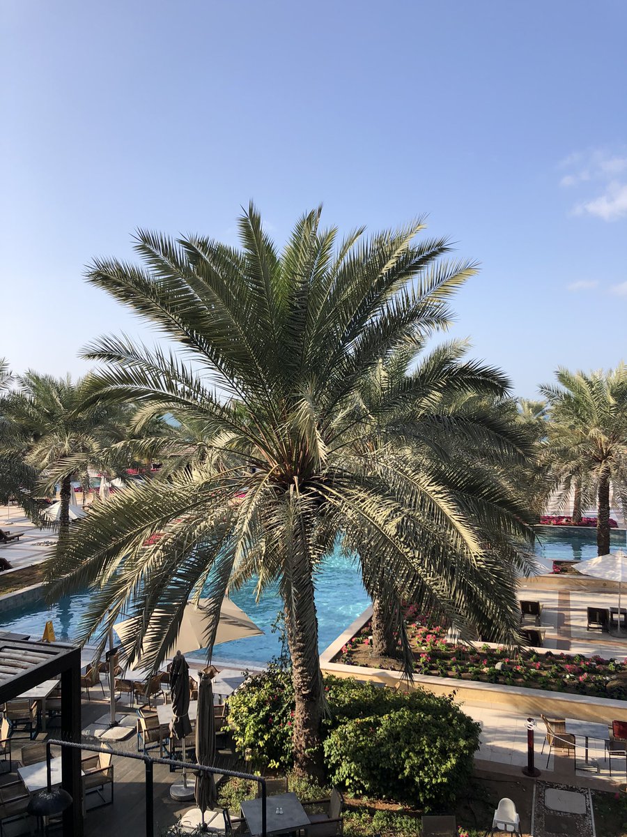 Day 23 #Advent5km Another lovely beach jog followed by a short swim. Hope everyone is enjoying their holidays #CollabUAE <a href="/MrAndiPrice/">Andi Price</a> <a href="/EmmetGlackin/">Emmet Glackin</a> <a href="/MrsBroomeTeach/">MrsBroomeTeach 🤓📚🎭🤩</a> <a href="/TomSale/">Thomas Sale MCCT</a> @VictoriaTes <a href="/q8_danny/">Daniel Walker</a> <a href="/CR_UK/">Cancer Research UK</a> @LiamMarshallEdu