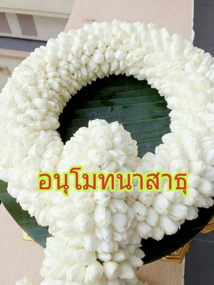 bwee072's tweet photo. @Psanitwong https://t.co/m0RHZ0Ckce