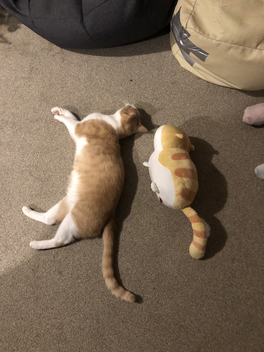 Nemo and his squishy clone <a href="/HoangAnh071002/">Hoang Anh</a> <a href="/HoangViet9669/">Hoang Viet</a> <a href="/danhpro2369/">danhpro</a> <a href="/dungnckh/">Dungnckh</a> <a href="/LinhMamThoi0208/">Lính Tu</a> <a href="/HoangLinhMam/">Hoàng Lính Tu</a> <a href="/LinhTuThoi0208/">Lính Tu</a> <a href="/chuynhphongdo/">chuỵnhphongdo</a> <a href="/linhanh061288/">Linh anh</a> <a href="/tulinh020817/">Linh Anh</a> <a href="/myofficeseila/">myofficeseila</a> <a href="/princseila/">Princseila</a> <a href="/polarbear1406/">Minh</a> <a href="/hatran2961/">Hatran2961</a> <a href="/thuylong071012/">Thuy Long</a> <a href="/polarbear1406/">Minh</a>