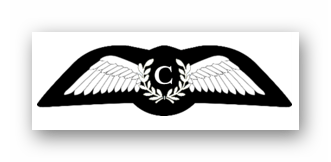 Information about The Honourable Company of Air Pilots Flying Scholarships has now been posted on the Wing SharePoint site. If you are over 17 ask your squadron staff for details of the application process.