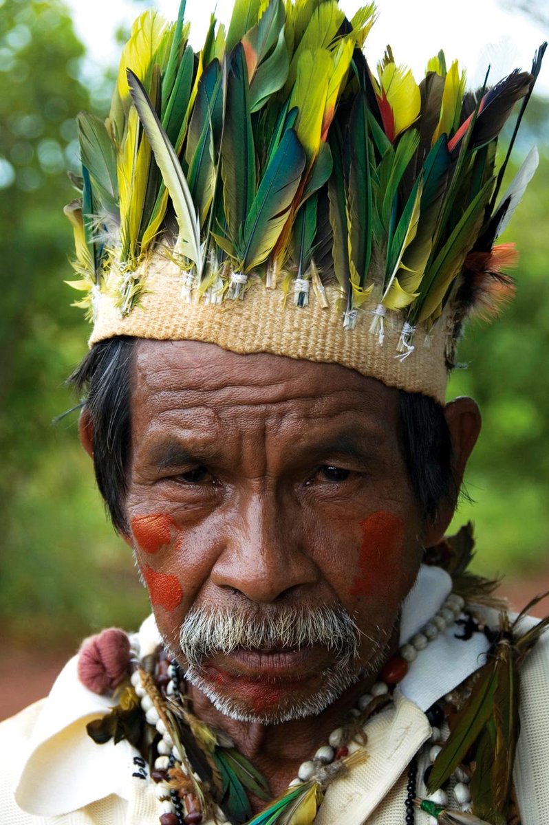 гуарани - индейцы южной америки. коренные индейцы южной америки. индейцы тупи. индейцы тупи рыба зуб. индейцы тупи рыба зуб.