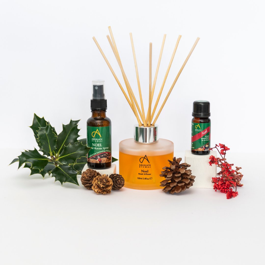 AbsoluteAromas's tweet photo. Merry Christmas Eve! Who's getting in the Christmas spirit with our beautiful Noel  products? The perfect cheerful and festive blend to fill your home with Christmas cheer! ✨

#MerryChristmas #ChristmasEve #ChristmasGifts #essentialoils #AbsoluteAromas https://t.co/8Wq5hgNd80