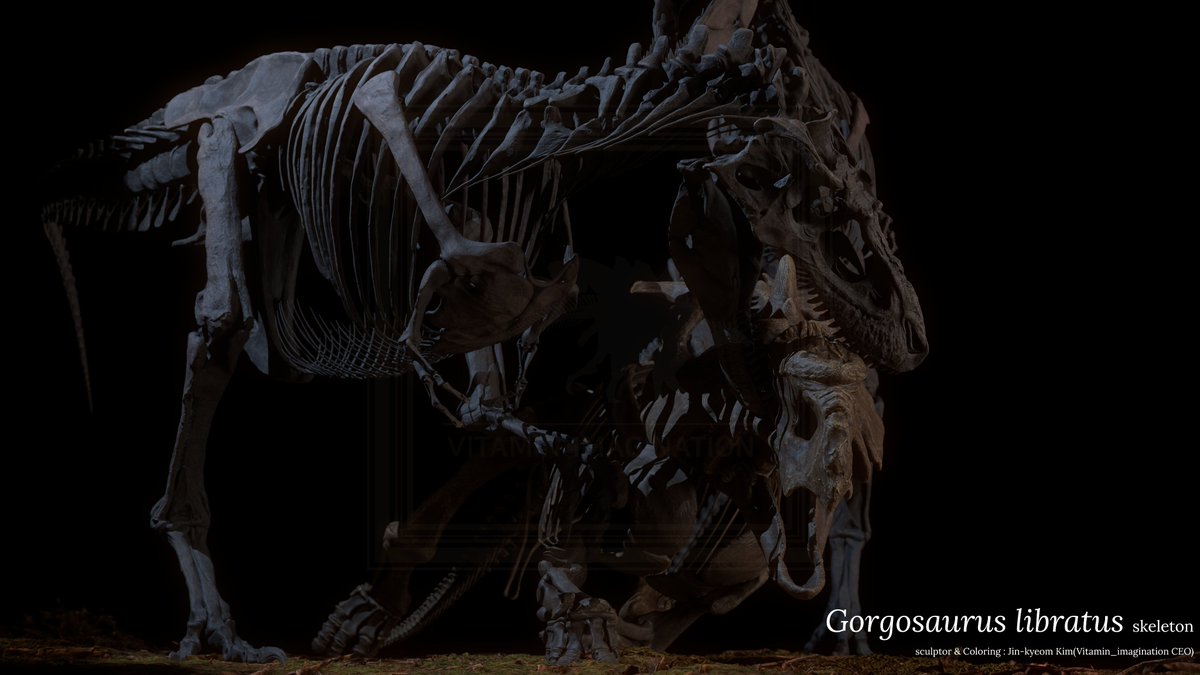 We have completed the skeleton diagram of Gorgosaurus libratus, a sleek sports car of Tyrannosauridae.
We will continue to build other Tyrannosauridae skeletons.

#dinosaur   #vitaminimagination #Gorgosaurus  #trex #티렉스 #zbrush  #MarmosetToolbag4 #SubstancePainter